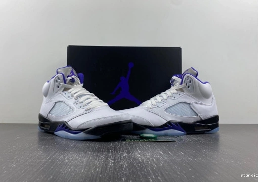 DD0587-141 Jordan Dark  Concord 5 Retro DD0587-141 1113